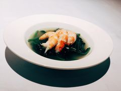 -新同乐鱼翅酒家(美丽华店)