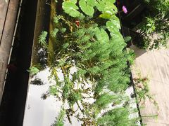 -箱美术馆私房菜(水晶郦城店)