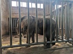 -石家庄市动物园