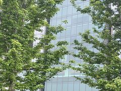 -郑州建业艾美酒店