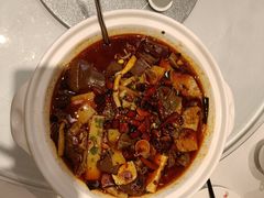 重庆毛血旺-渝信川菜(工体店)