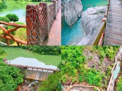 -广州白江湖森林公园