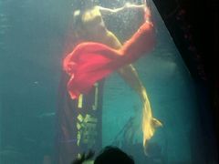 -洛阳龙门海洋馆