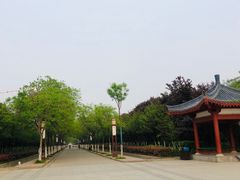 -洛阳市隋唐城遗址植物园