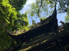 -青城山