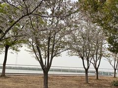-幕燕滨江·燕子矶公园