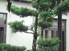 -宁波柏悦酒店·钱湖渔港