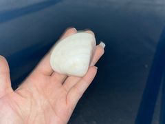 -西涌国际滨海旅游区