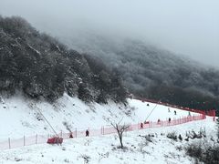 -太子岭滑雪场