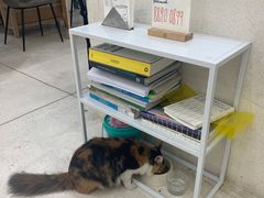 -玫瑰咖啡(中山六路店)