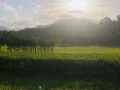 -福建鲤鱼洲酒店