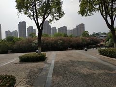 -青枫公园