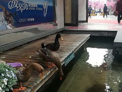 -泉乐坊步行街(烟酒特产平价超市店)