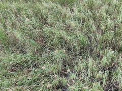 -野鸭湖国家湿地公园