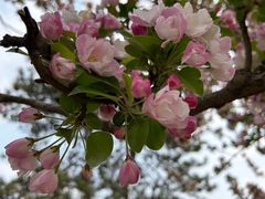 -海棠花溪(元大都城垣遗址公园)