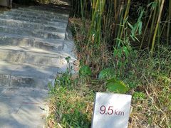 -羚羊峡古栈道森林公园