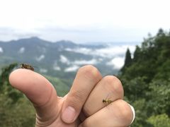 -井冈山风景名胜区-黄洋界