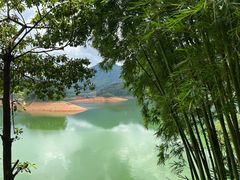 -广州市流溪河国家森林公园