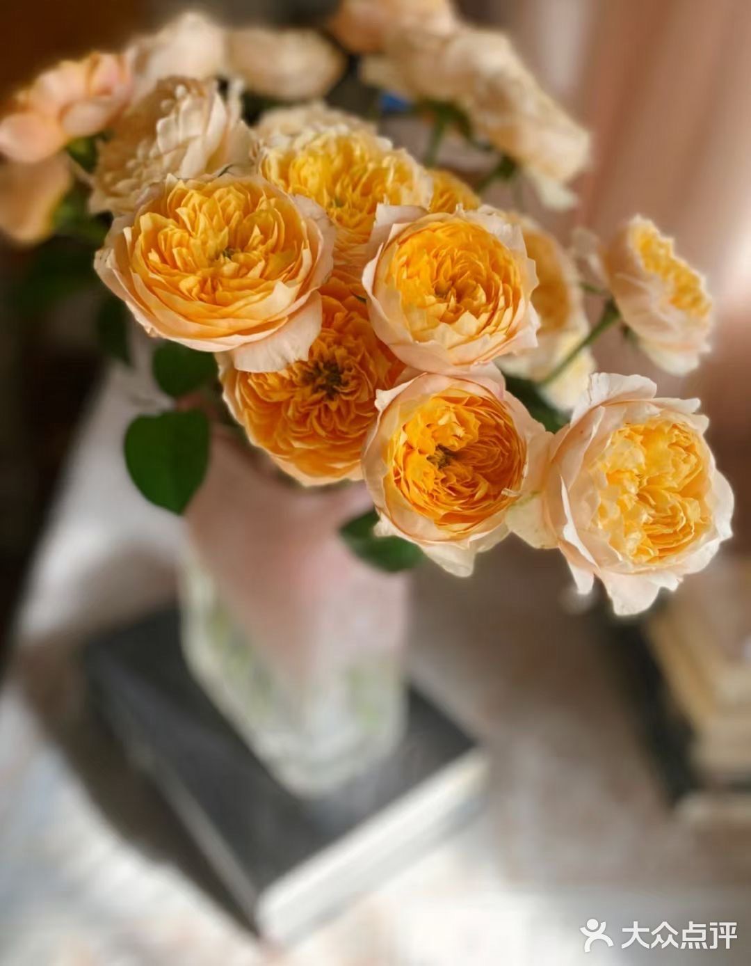 奥斯汀黄蝴蝶玫瑰 - 大众点评吃喝玩乐精选