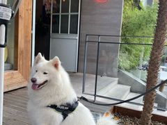 -the rug 飞毯 (朝阳公园店)