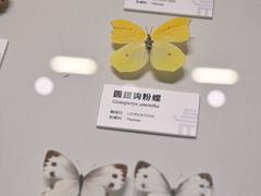 -四川大学博物馆