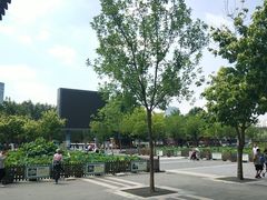 -莲花池公园
