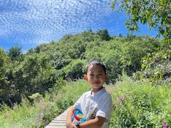 -白草畔自然风景区