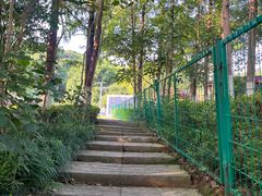 -桃花岭景区