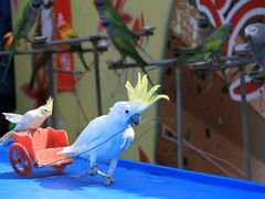 -云漫湖生态度假公园