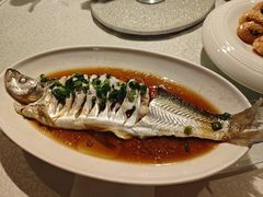 -金美华轩(东方路齐鲁店)