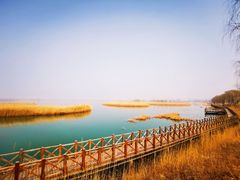 -野鸭湖国家湿地公园