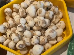 -润园四季椰子鸡火锅(南山海岸城店)