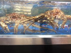 -盒马鲜生(莱蒙都会店)