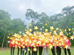 -阳台山森林公园