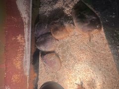 -秦皇岛新澳海底世界