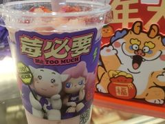 -一只酸奶牛(春熙路店)