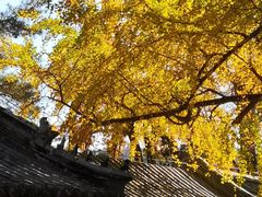 -潭柘寺景区