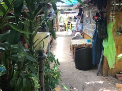 -Jungle Kitchen