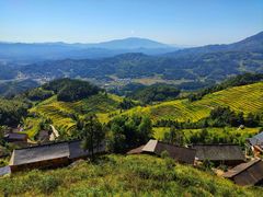 -紫鹊界梯田景区