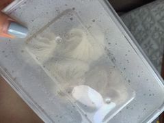 -王興記(中山路店)