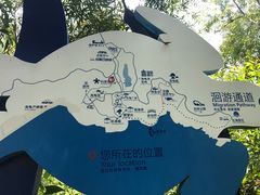 -广东惠东海龟国家级自然保护区