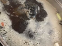 -太婆天府山珍酒楼(亚运村店)