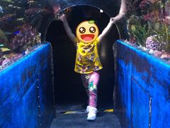 -暹罗海洋世界