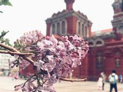 -圣·阿列克谢耶夫教堂