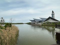 -盐城丹顶鹤湿地生态旅游区