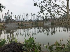 -枫香湖儿童公园