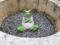 -深圳野生动物园
