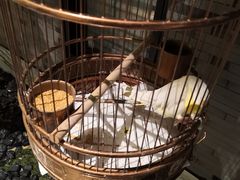 -小厨娘淮扬菜(六合欢乐港店)