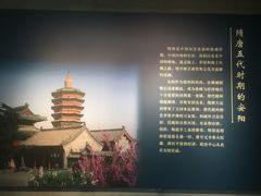 -安阳博物馆