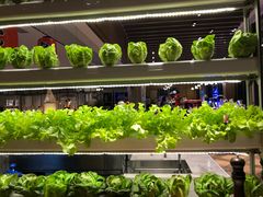 -新食谱全日制餐厅·苏州苏州湾艾美酒店